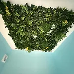 Capsule Avatar - Balneo Sauna Projecteur Nintendo Apartmán *