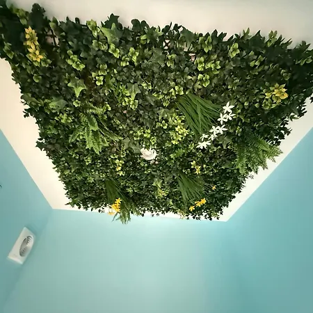 Capsule Avatar - Balneo Sauna Projecteur Nintendo Appartement *